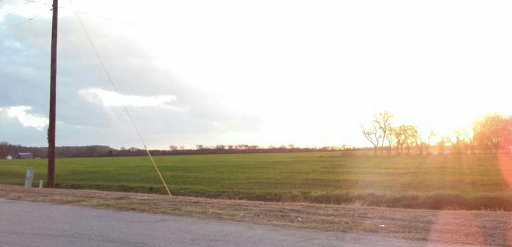 1403583_748170423929_665201799_o