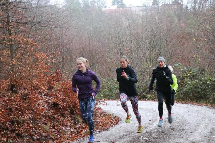 48177227_2452333148362105_7715085921724399616_n