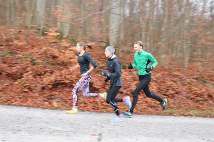 48190411_355313418589339_5142425834547576832_n